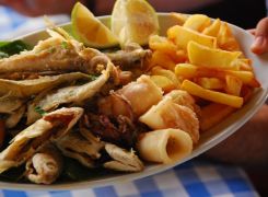 fishplate